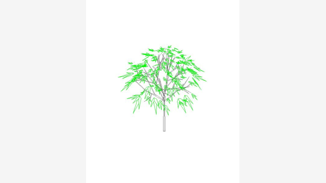 Árvore 3D Arbol 000 — DWG Vegetação Pronta