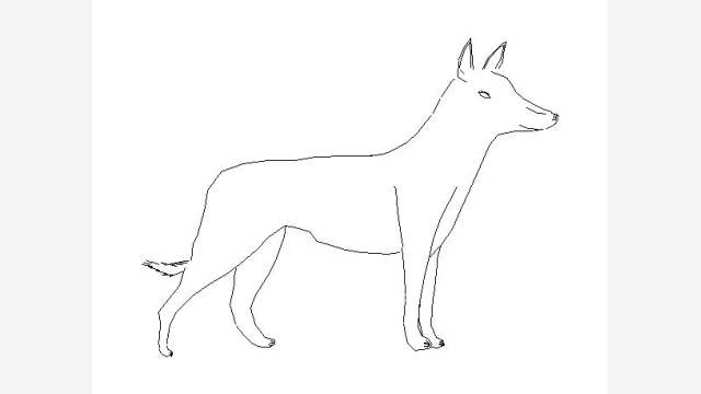 Llop — Bloco DWG de Animal em Vetor para CAD