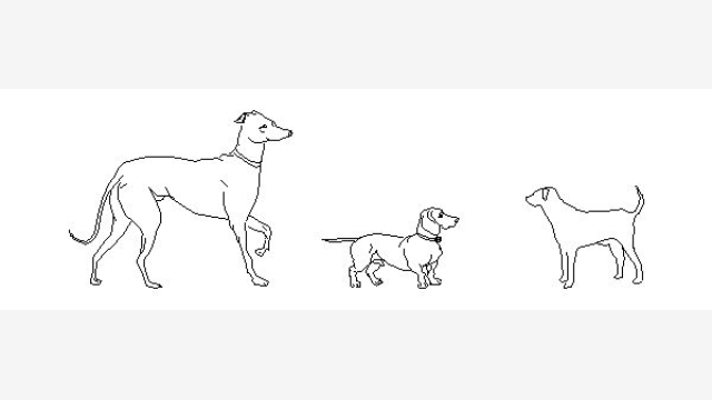 Bloco DWG Cani — Cachorro Técnico para Projetos