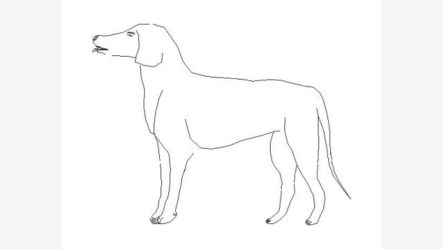 Gos — Bloco DWG de Animal para Projetos CAD