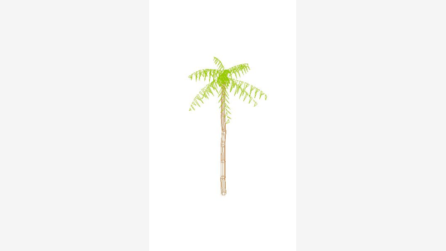 Palmera 000 — Modelo DWG de Palmeira 3D para CAD