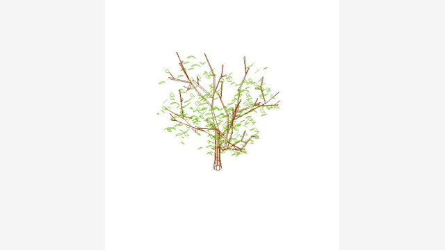 Árvore 3D Arbol 006 para DWG — modelo detalhado